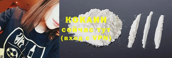 прущие грибы Елизово