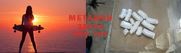 прущие грибы Елизово