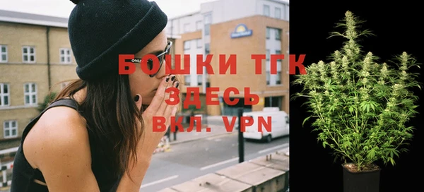 прущие грибы Елизово
