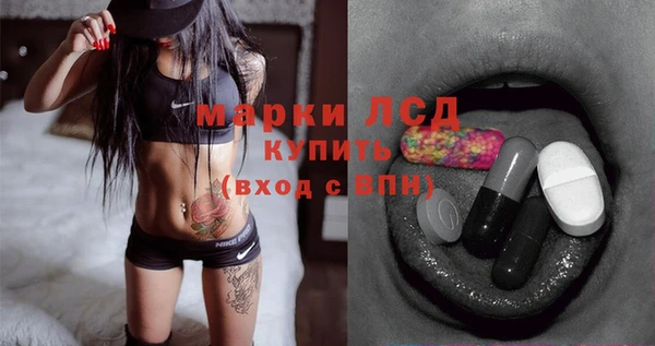прущие грибы Елизово