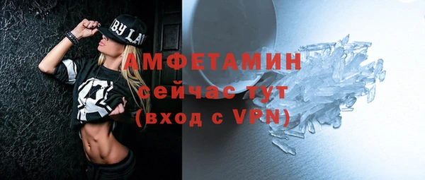 прущие грибы Елизово