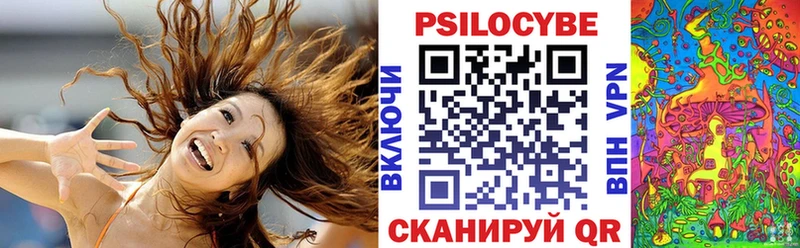 Купить Сергач Псилоцибиновые грибы MAGIC MUSHROOMS